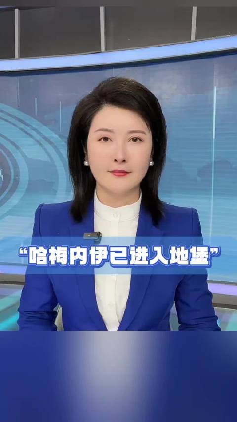 倚天屠龙记里写了，波斯的密道，只有教主可以进去 (动静快评)