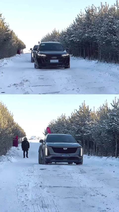 新XT5和新Q5L雪地过连续大坑洼路对比测试，大家看出区别了吗？