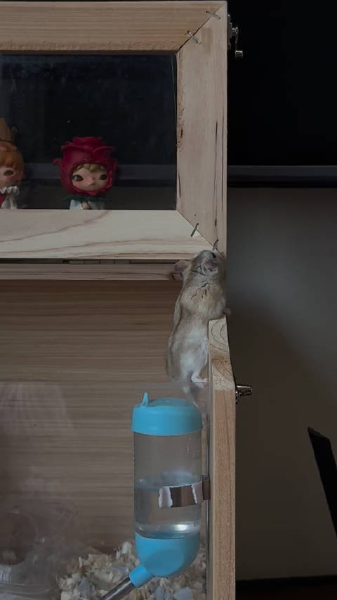 越狱就越狱 摔了怎么还自己加哭唧唧的特效