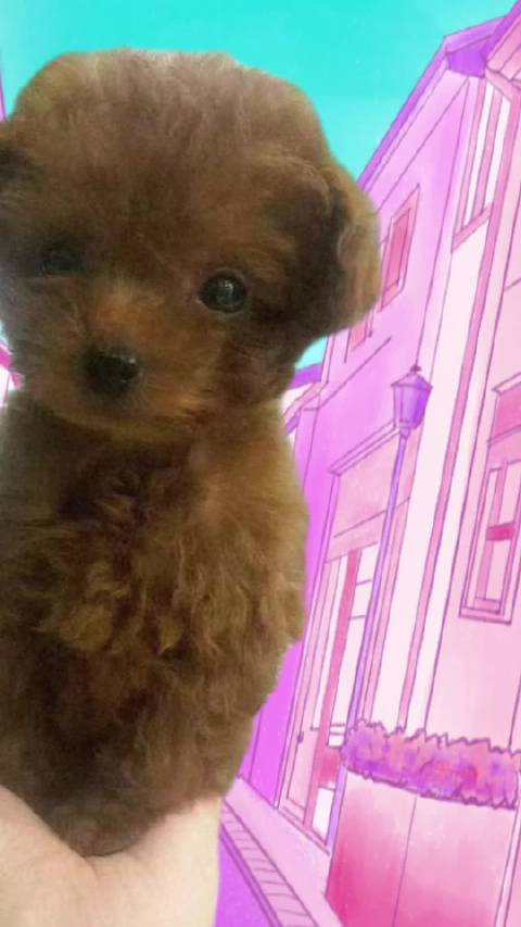 江衡李沛恩 乐乐萌稿来啦，不知道还能凑几个抽象的出来啦