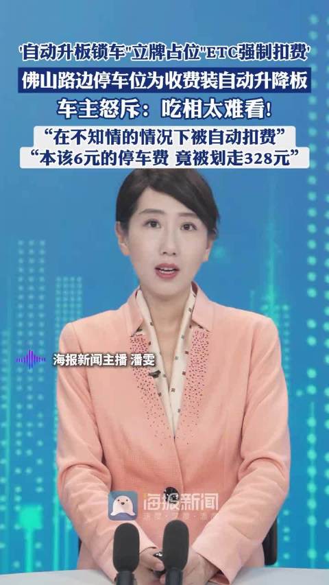 车主怒斥路边为收停车费装自动升降板