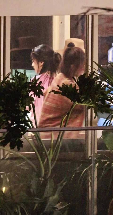 沈月和秦岚就这样像个陀螺一样在转不停