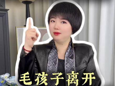 你是否还渴望重返我身旁…… 宠物沟通