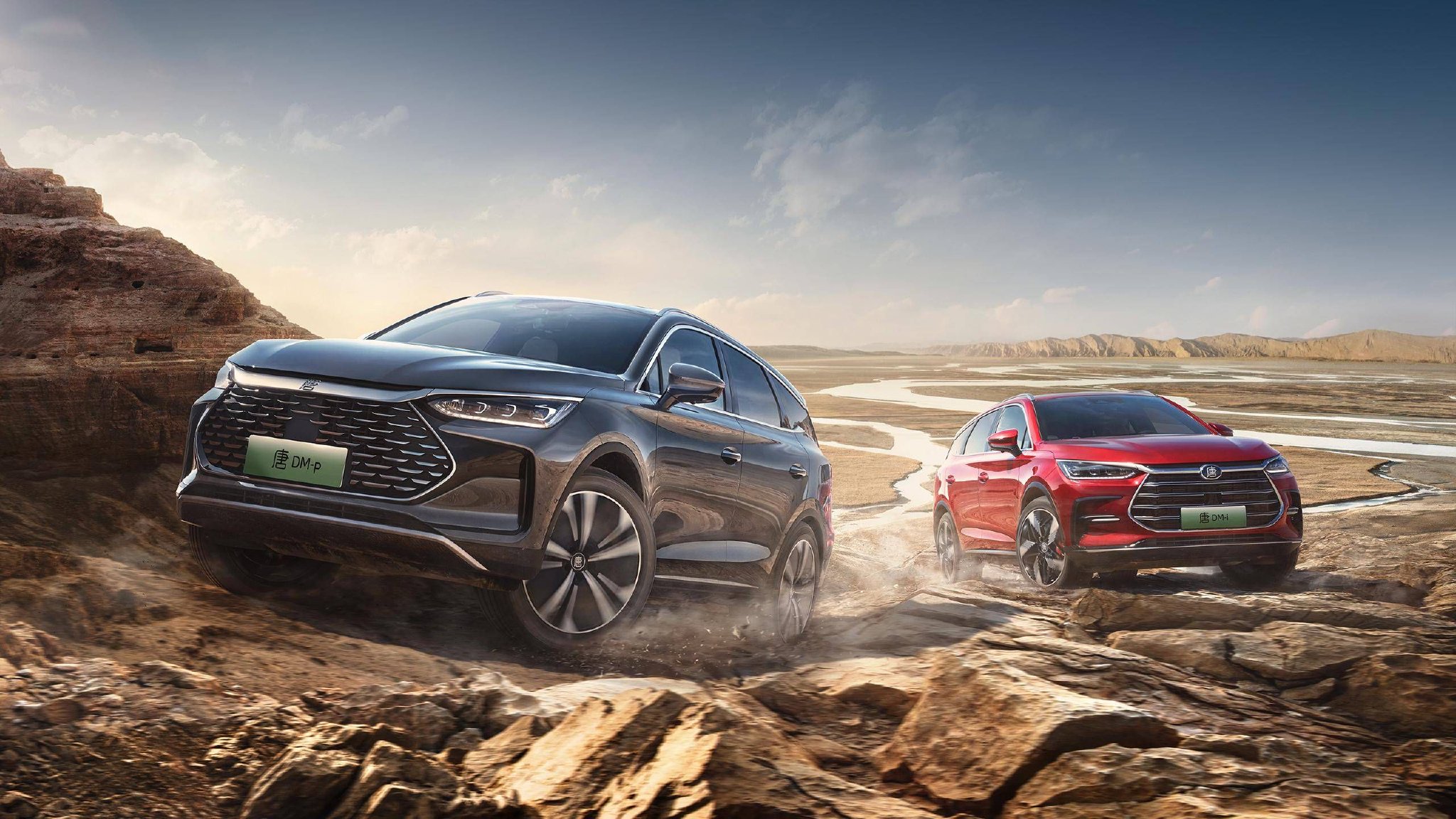 口碑-2025款智驾版175KM 尊贵型