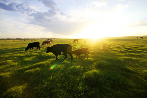 如何买到库存车？买到库存车需注意哪些要点？-汽车频道-和讯网