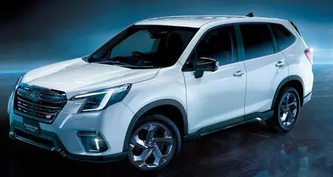 无惧冰雪严寒!这就是森林人STI