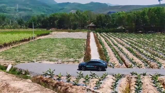 何炅对每个到来的嘉宾都很热情，黄磊更像老父亲一样的慈爱笑容