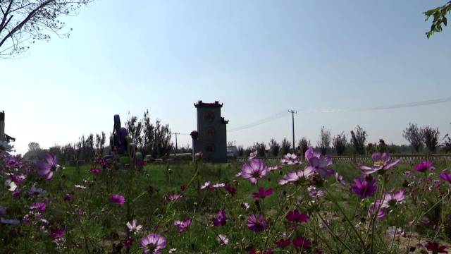 千万工程绘新景随处可见匠心独运微景观