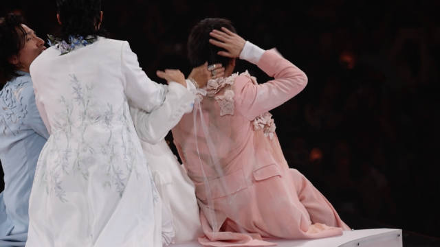 恆星之城 成都D2 啊放開我的陳大貓！  快過來主人幫你順順絨絨貓頭毛