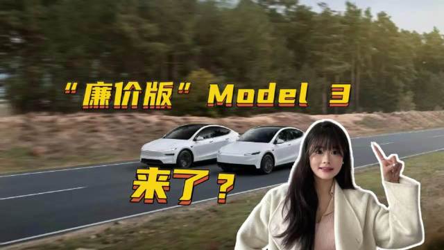 廉价版Model3即将上市！国产车中谁最慌？