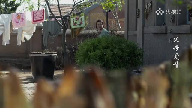 二大娘提德福前妻致江德福紧张回家哄安杰