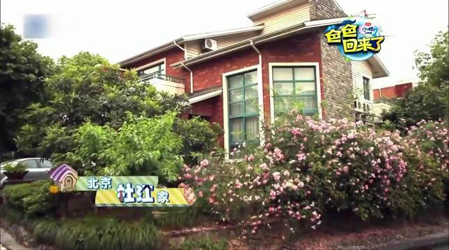 霍思燕太会调教男人了，一招既照顾了嗯哼又教了老公，情商太高