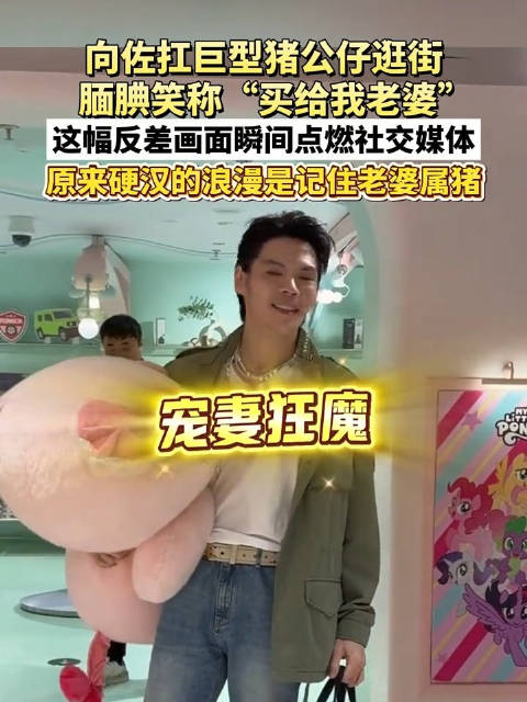 向佐回应为郭碧婷买了个巨型猪公仔