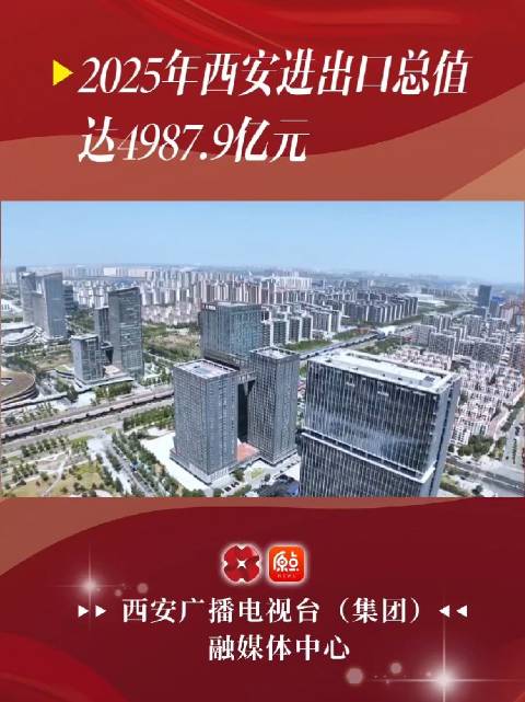 2025年西安进出口总值达4987.9亿元，增速超两成