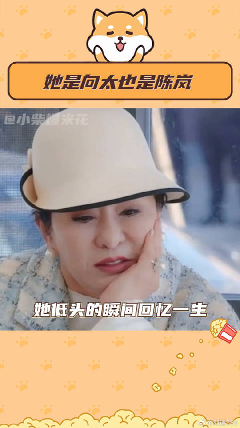 向太经历微博VC计划