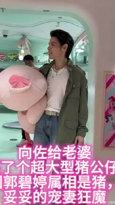 向佐给老婆买了个超大型猪公仔，因郭碧婷属相是猪，妥妥的宠妻狂魔