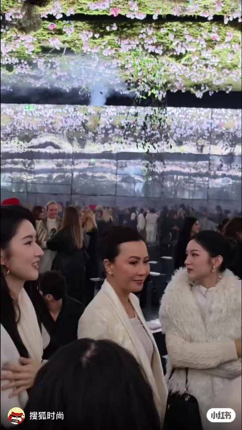 和刘嘉玲合体了