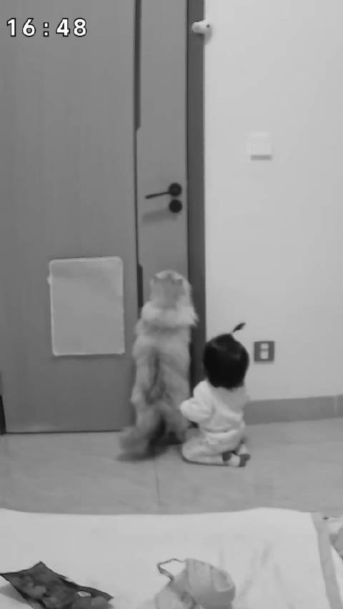 他俩儿就这么的越狱了