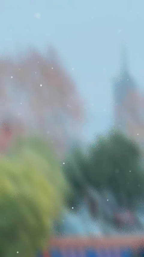 何晴曾拍摄天使的歌声医院近日飘雪