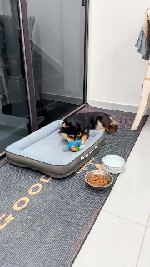 无敌破坏王再添新玩具