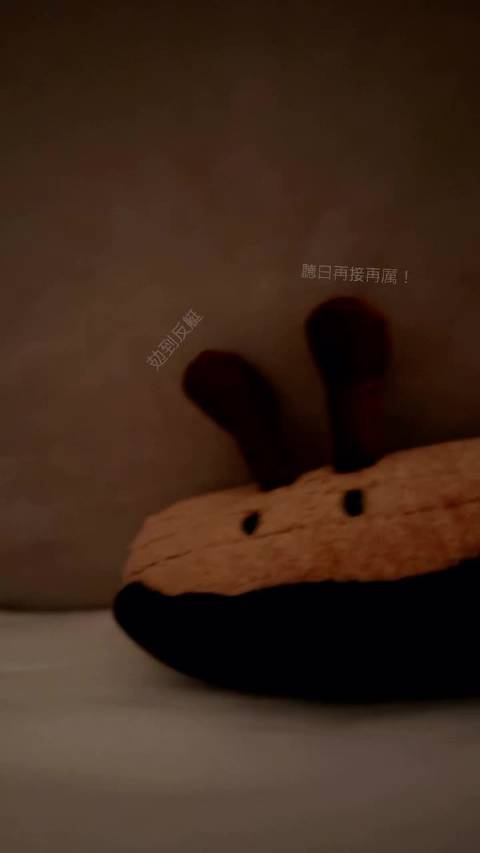 佘诗曼新闻女王2 20261027 ig story 更新 辛苦了宝贝