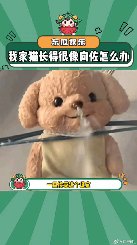 一旦接受这个设定..猫系 万万没想到