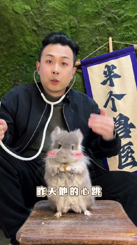 mermer泥嚎！我素何秋兔