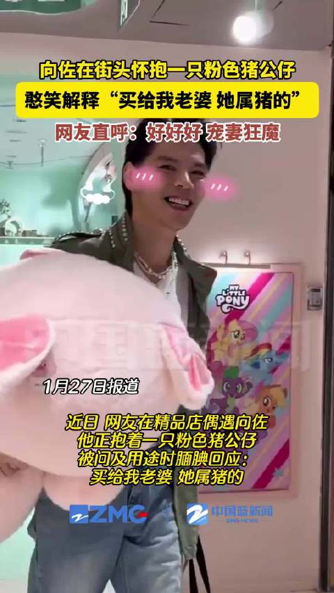 向佐为郭碧婷购置巨型猪公仔，硬汉展现反差萌