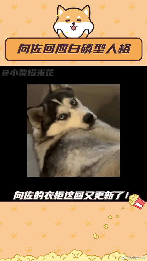 向佐搜狐盛典突然的正经