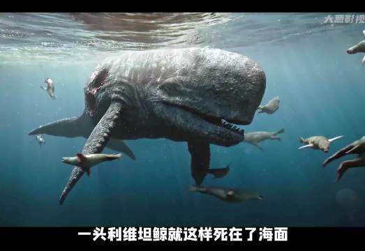 利维坦与巨齿鲨家族之战