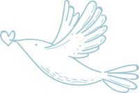 新车首保注意事项