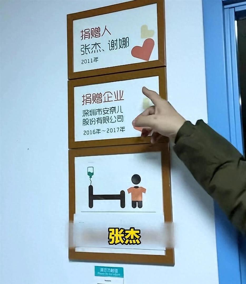 李亚鹏曝光捐赠名单，向太发声：我捐了几百万，王菲默默支持了几千万，慈善靠个人的力量是做不到的