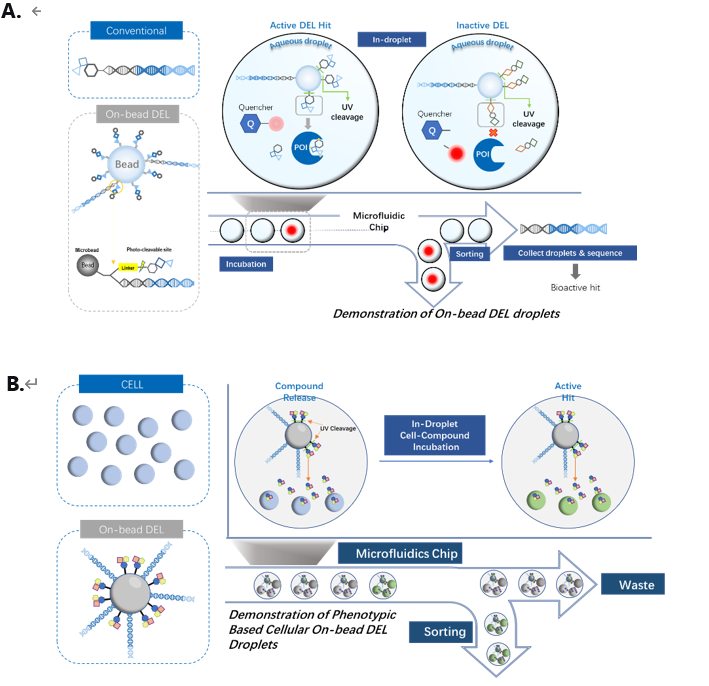 ��A�����ڵ��׻��Ե�OBOC-DELɸѡ��B������ϸ����OBOC-DELɸѡ��ͼƬ��Դ��ҩ����������ѧҵ��ƽ̨��