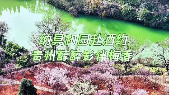 从纳具和园到贵州醇 阳光梦幻王国春意浓