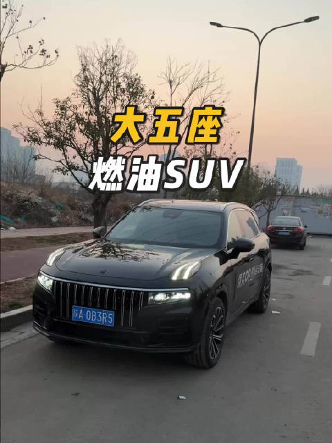 一辆机械素质很出色的大五座燃油SUV