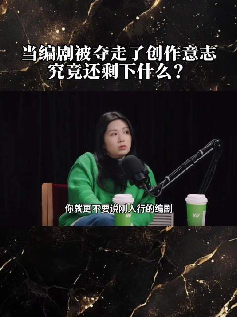欢乐颂编剧袁子弹呼吁推行剧作中心制