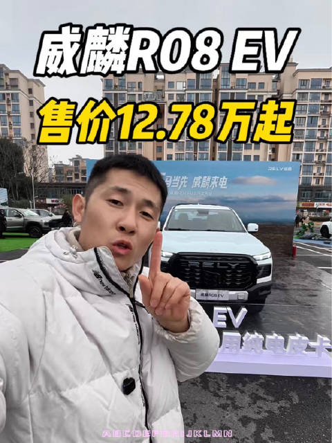 纯电皮卡威麟R08EV，家用干活都能打！