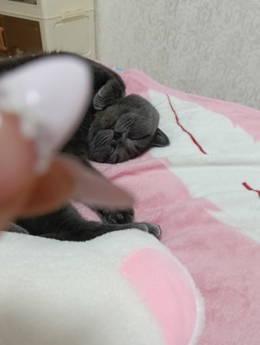 睡醒了就洗脸，洗完脸又睡觉