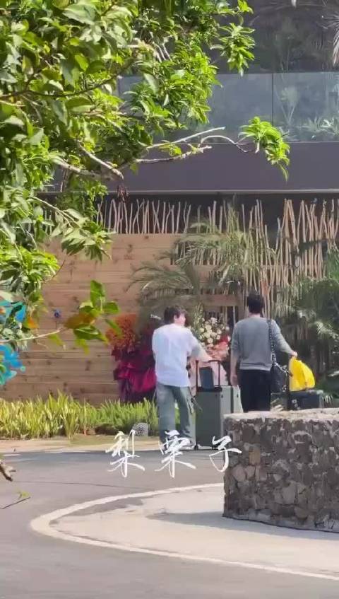 王鹤棣沈月武艺时隔8年再同框，重现经典蛋糕梗