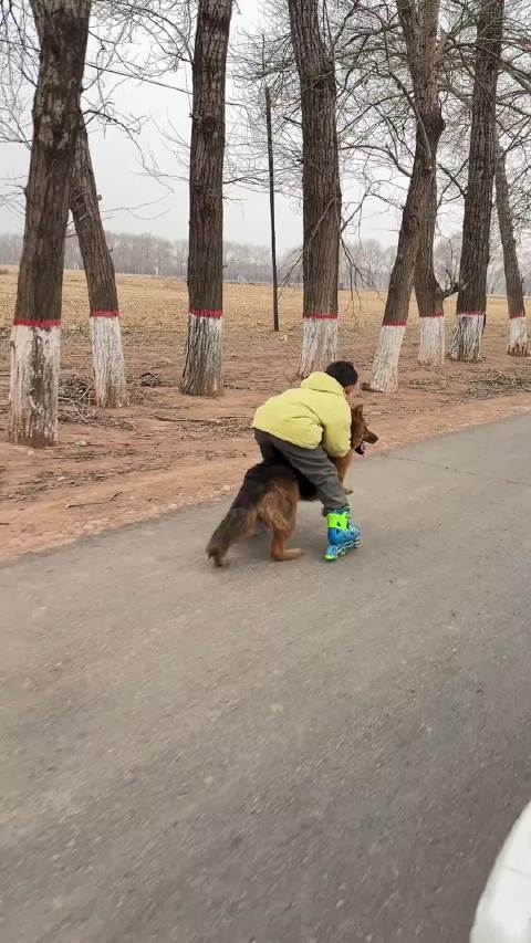 德系，四驱，全毛座椅，自动巡航，百公里0电费，0油耗