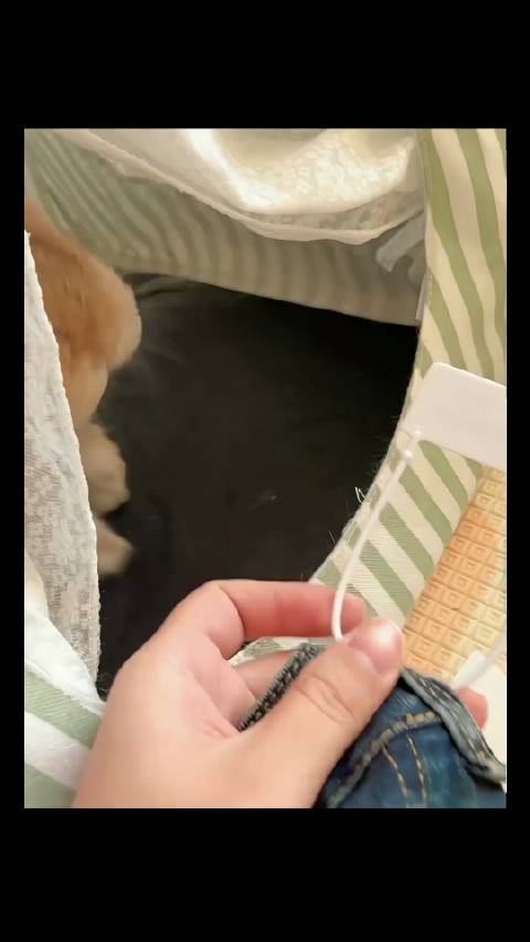 品牌去吊牌技术领先业界