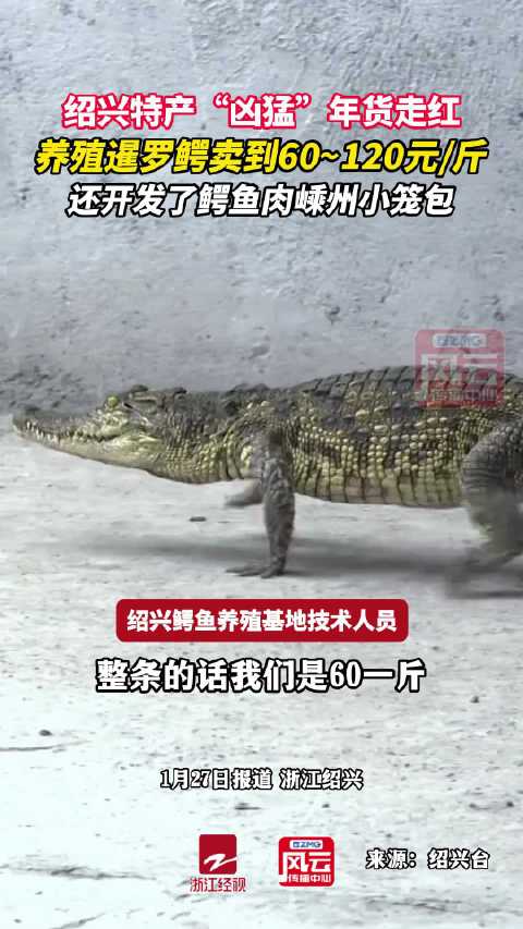 鳄鱼肉成网红年货