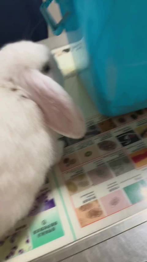 day03 如果一丁儿不在了