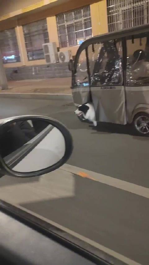 混动三轮=低速用狗+高速用电