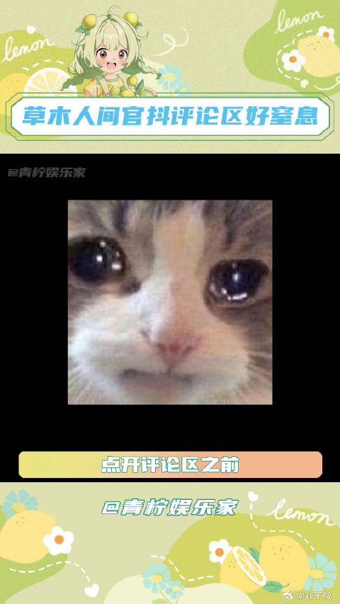 电影草木人间揭露老年人受骗卖房事件