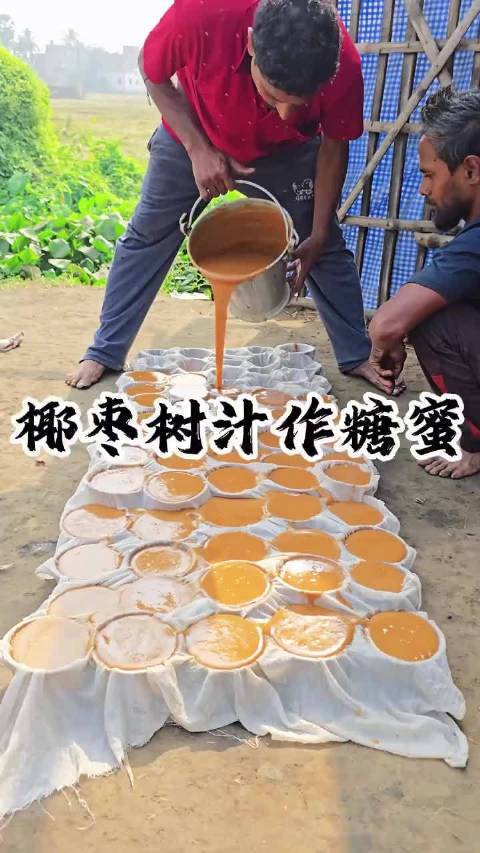 印度生椰枣汁藏致命病毒，六成家庭仍生饮