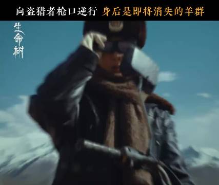 杨紫《生命树》豆瓣热度破1282万