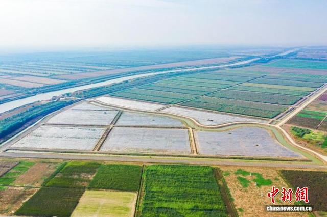 ��Ӫ���μ�ء�(����ͼ)�Ž� ��