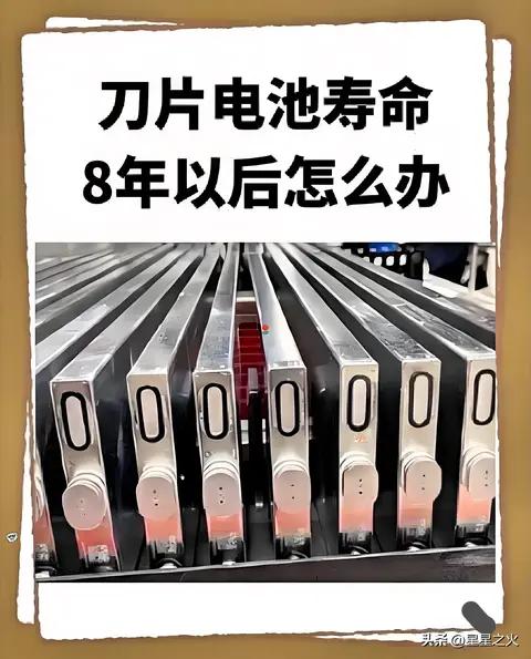 刀片电池120万公里寿命真相！我的4年实测，有人衰减8%有人掉22%