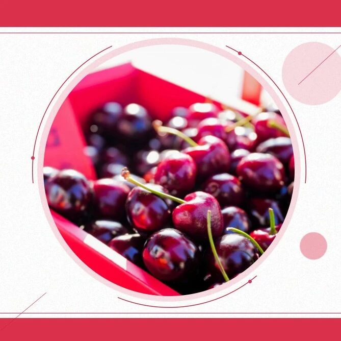 压轴鲜甜！新春车厘子“最后补货期”，同时拿捏你的味蕾和春节排面